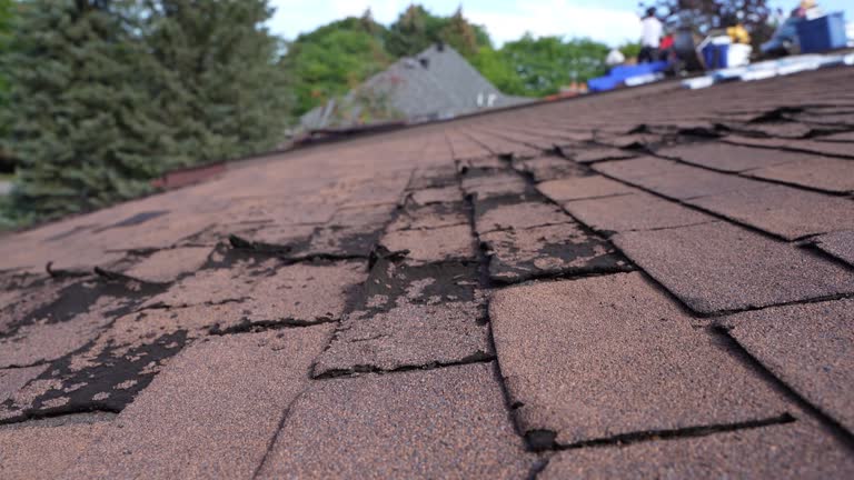 Best Cold Roofs  in Shepherdstown, WV