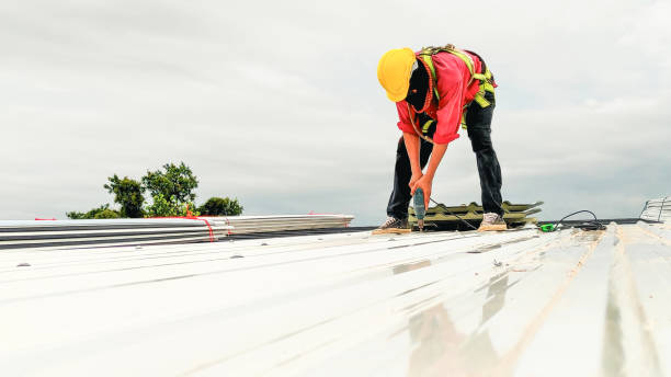 Best Emergency Roof Repair Services  in Shepherdstown, WV